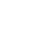 Icon AI Testing