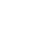 BFSG Logo